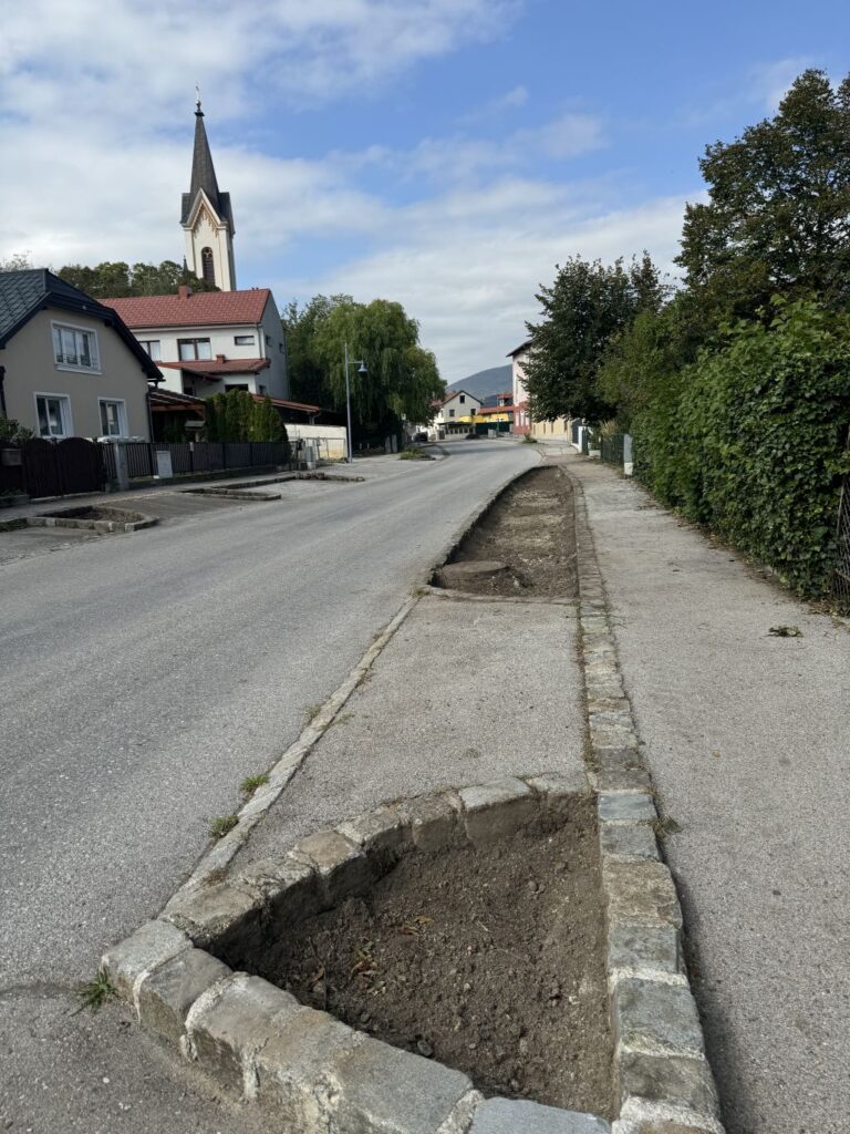 Neubepflanzung Wöllersdorfer Straße